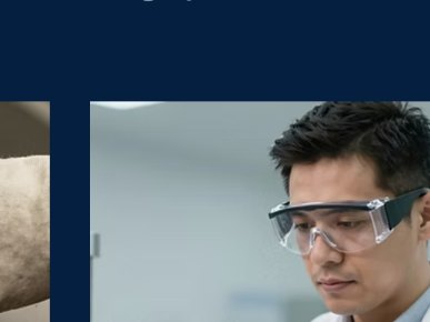 Illustrative workforce capability photograph